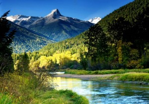 Image found on http://www.bcsbestbnbs.com