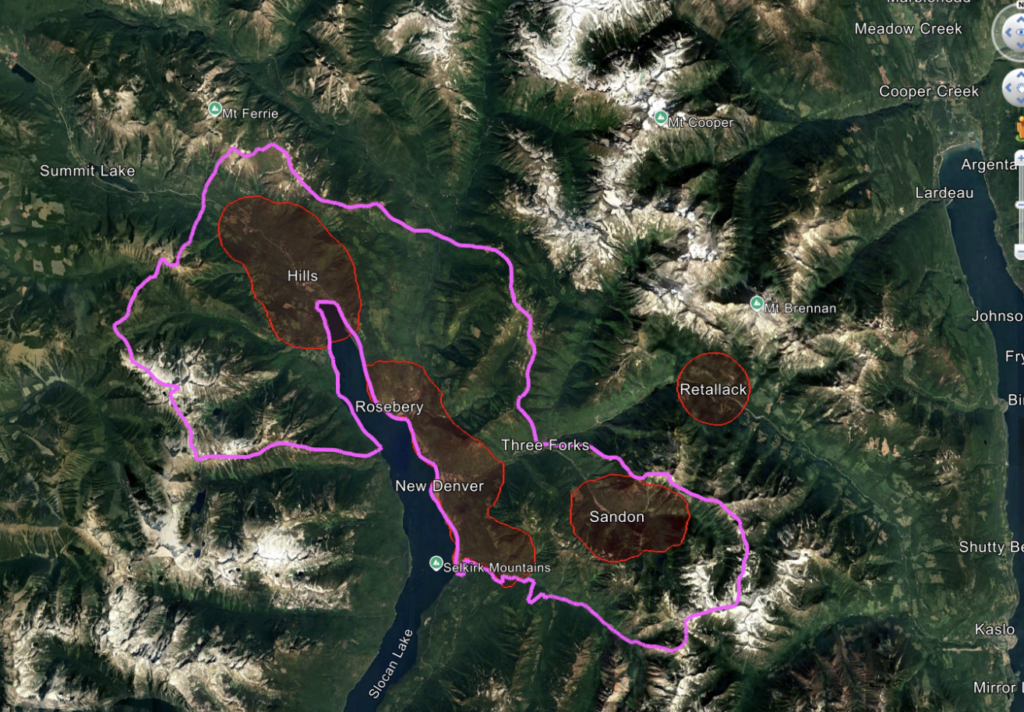 Community Forest Tenure First Draft